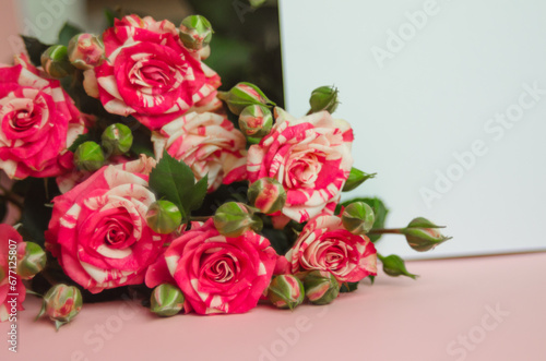 Red Little Roses With Writing Leaf, Greeting Card