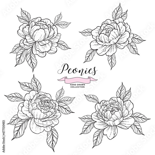 Set of peony flowers in tattoo style. Hand drawn inked flowers. Black and white peonies. Vector illustration.
