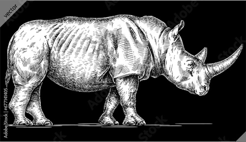Vintage engraving isolated rhinoceros set illustration ink sketch. Africa background rhino silhouette art. Black and white hand drawn vector image