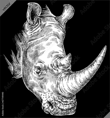 Vintage engraving isolated rhinoceros set illustration ink sketch. Africa background rhino silhouette art. Black and white hand drawn vector image