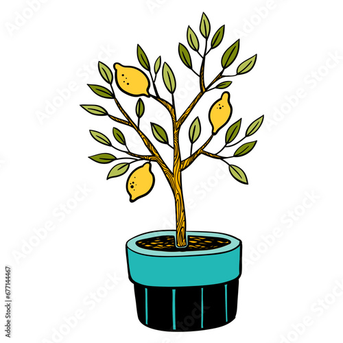 Lemon Potted Tree 