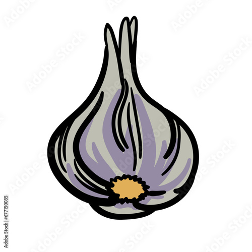 Garlic Bulb