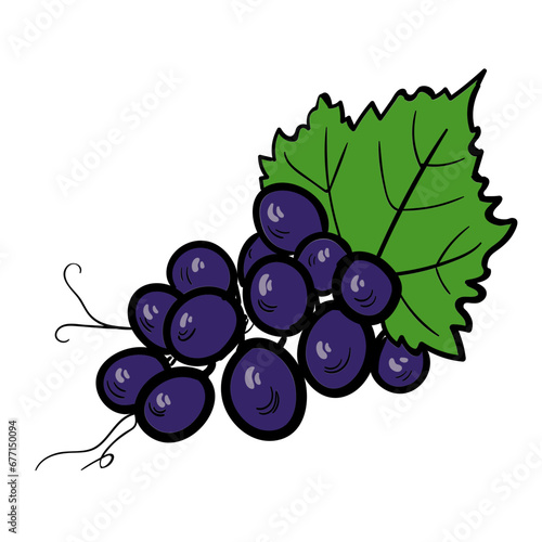 Grape Bunch