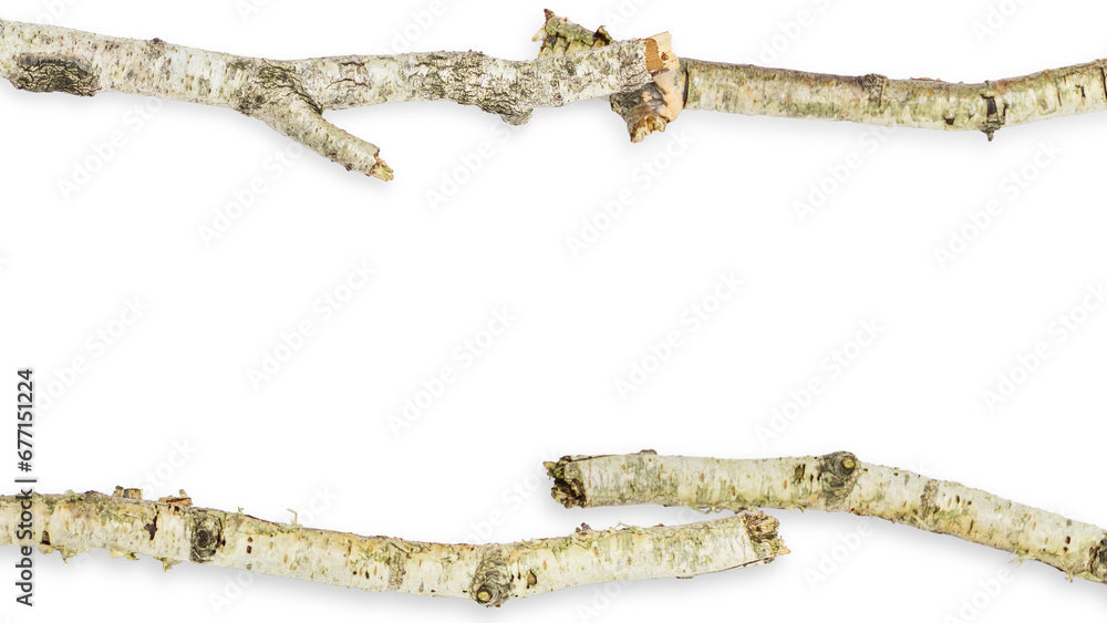 Set/set. Birch branch of a curved beautiful shape. On an empty background. PNG Set/set. Birch branch of a curved beautiful shape. On an empty background. PNG