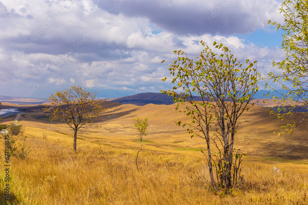 Landscape of the Georgian steppe Udabno in Georgia. Yellow-gold grass, wilde land and blue sky. Endless fields. Mountain in the background. Landscape of the Georgian steppe Udabno in Georgia. Yellow-gold grass, wilde land and blue sky. Endless fields. Mountain in the background.