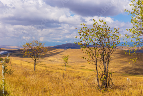 Landscape of the Georgian steppe Udabno in Georgia. Yellow-gold grass  wilde land and blue sky. Endless fields. Mountain in the background.
