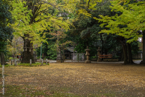 東京赤坂にある氷川神社の秋の風景