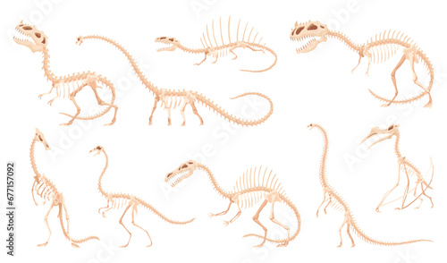 Dinosaur skeleton set. Dino monsters icons. Shape of real animals. Sketch of prehistoric reptiles. Vector illustration isolated on white. Hand drawn sketches
