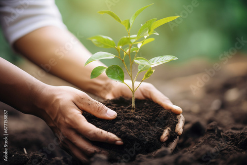 A close-up of hands planting a tree sapling, symbolizing environmental conservation, creativity with copy space
