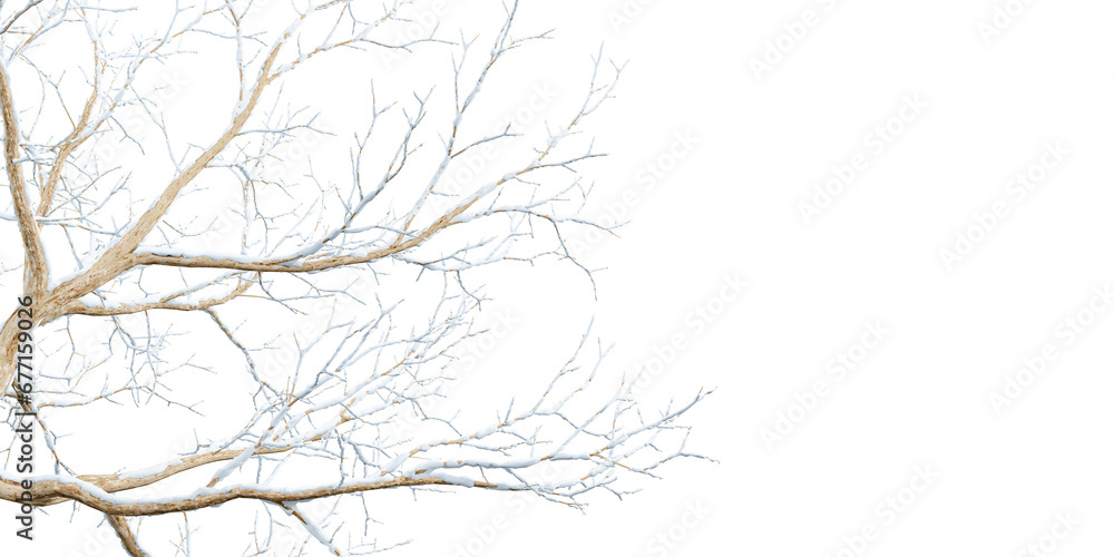 Isolated snow covered branches on white	
