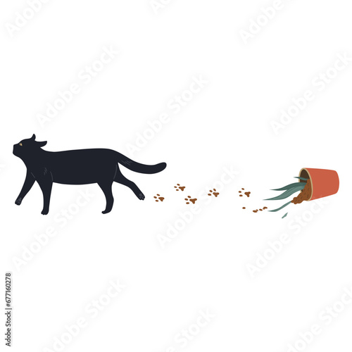 Cat Knocked Over The Plant