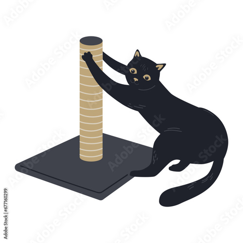 Cat Scratching Post