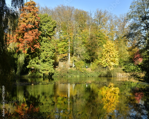 Les couleurs magiques de l'automne de la végétation luxuriante entourant le petit étang au domaine du château de la Hulpe en Brabant Wallon 
