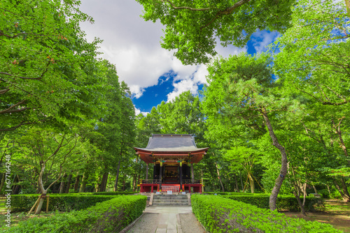 江戸東京たてもの園 旧自証院霊屋 (2023年夏)