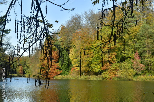 La beauté de l'automne de la forêt entourant l'étang de la Longue Queue au domaine du château de la Hulpe 