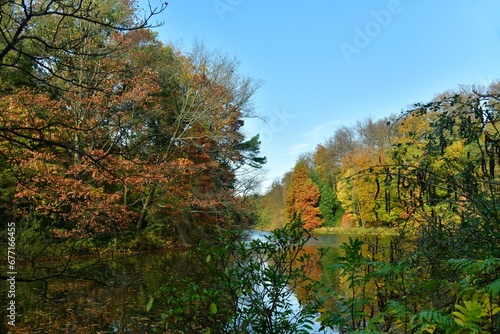 La beauté de l'automne de la forêt entourant l'étang de la Longue Queue au domaine du château de la Hulpe 