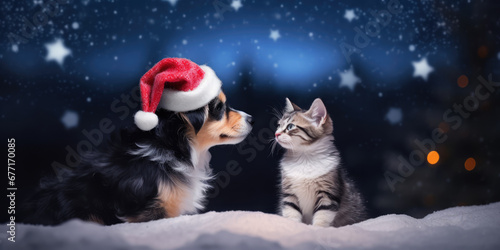 Cat and Dog in Santa Hat sitting in snow in winter forest at Christmas night. Pets and Christmas. Beautiful background for Merry Christmas and Happy New Year greeting card, invitation or banner design
