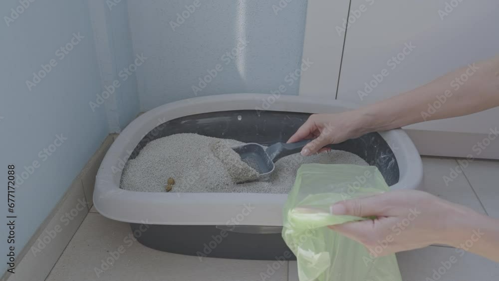 Housewife opens plastic bag to clean cat feces from toilet tray with