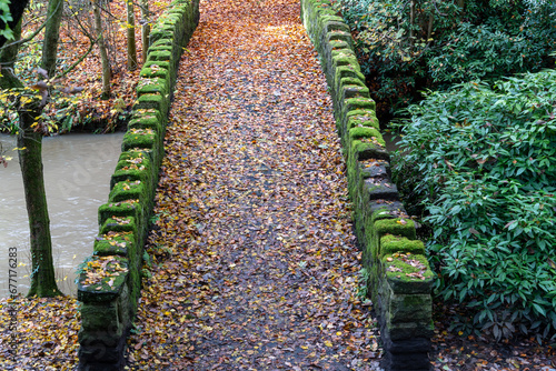 фотографія Bridge over the Ouseburn river, covered in Autumn or Fall leaves in Jesmond Dene
