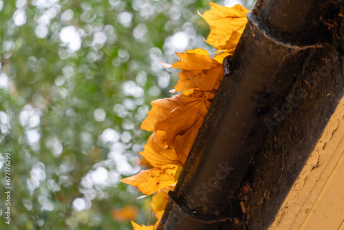 Autumn or Fall leaves in guttering. Concept of commercial gutter cleaning, home maintenance and leaf clearance.