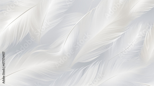 Background of minimalist feathers, soft naturalism, pale grays and whites