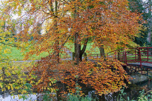 A view of Autumn or Fall trees at the Hall Grounds in Wallsend Park, North Tyneside, UK photo