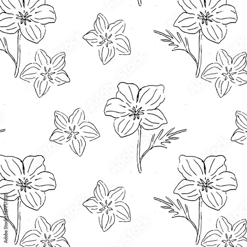 Monochome flower California Poppy seamless pattern