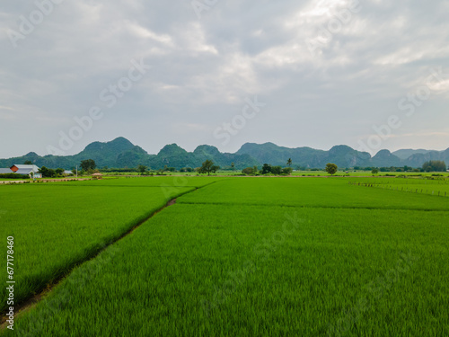 Landscape of scenic paddy field and walkway to harvest in farmland among mountain range, Thailand