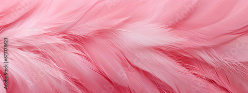 Close-up of delicate pink feathers soft texture.