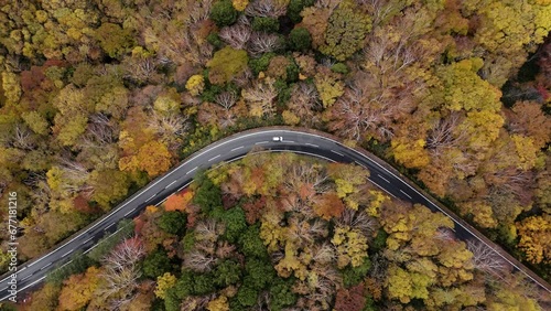 Aerial footage of the road among colorful Autumn scene in Nagano prefecture, Japan