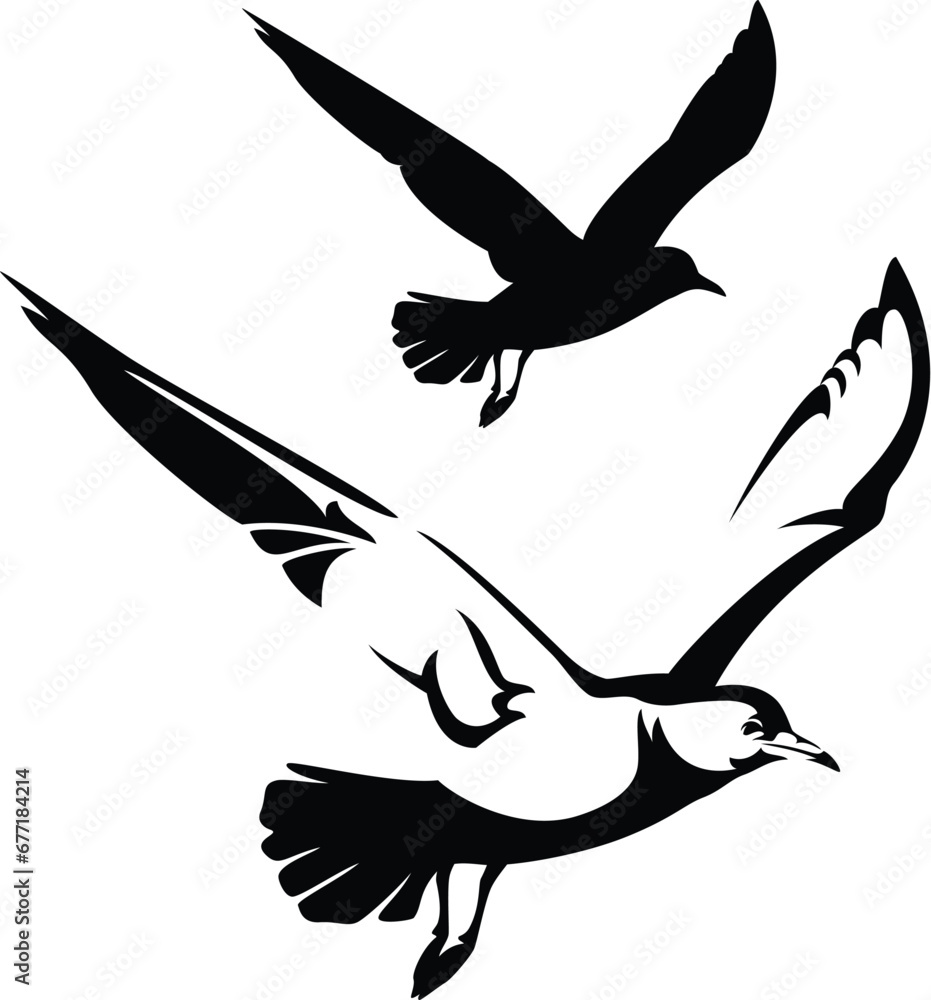 Obraz premium flying seagull vector design - black and white bird relistic outline and silhouette