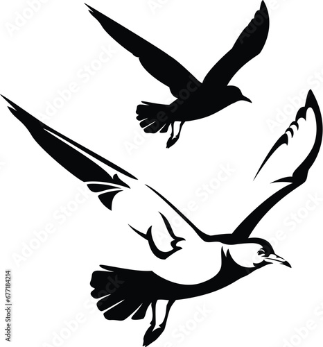 flying seagull vector design - black and white bird relistic outline and silhouette