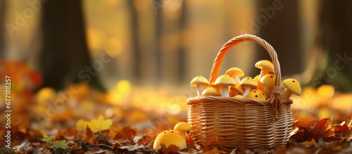 basket of mushrooms on ground  autumn banner  generative ai