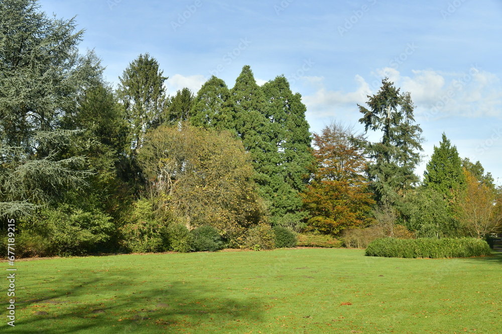Variété d'arbres en automne au domaine du château de la Hulpe 
