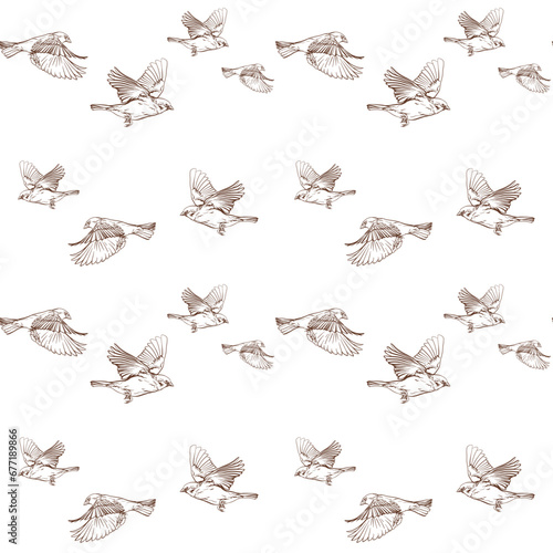 A flock of sparrows on a white background. Birds vector illustration. Seamless pattern.