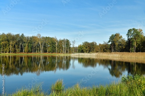 Reflet de la forêt dans les eaux d'un des étangs de la réserve naturelle du domaine provincial de Bokrijk au Limbourg 