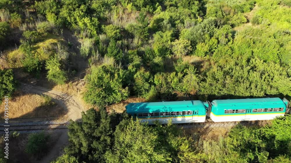 Train mooving through the forest, wineries alonong the banks of Maule river near Constitucion in Chile Train mooving through the forest, wineries alonong the banks of Maule river near Constitucion in Chile