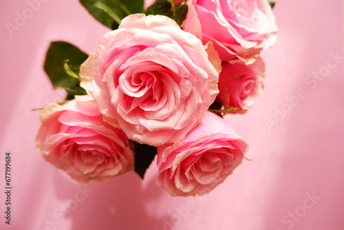 Beautiful pink roses on pink background. Mother's day, Rose day, Valentine's day and Woman's day flower background.  © Lala