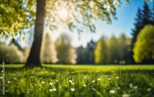 Defocused green trees with sun beams in forest or park. A Field of Dreams at Sunset.