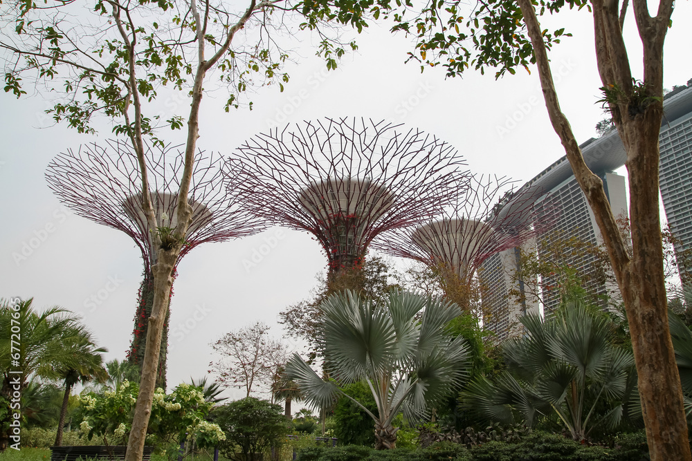 Fototapeta premium Supertree garden , landmark at garden by the bay singapore.