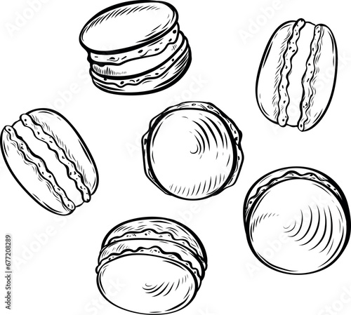 Macaroon cookies line drawing vector isolated on white background. © galunga.art