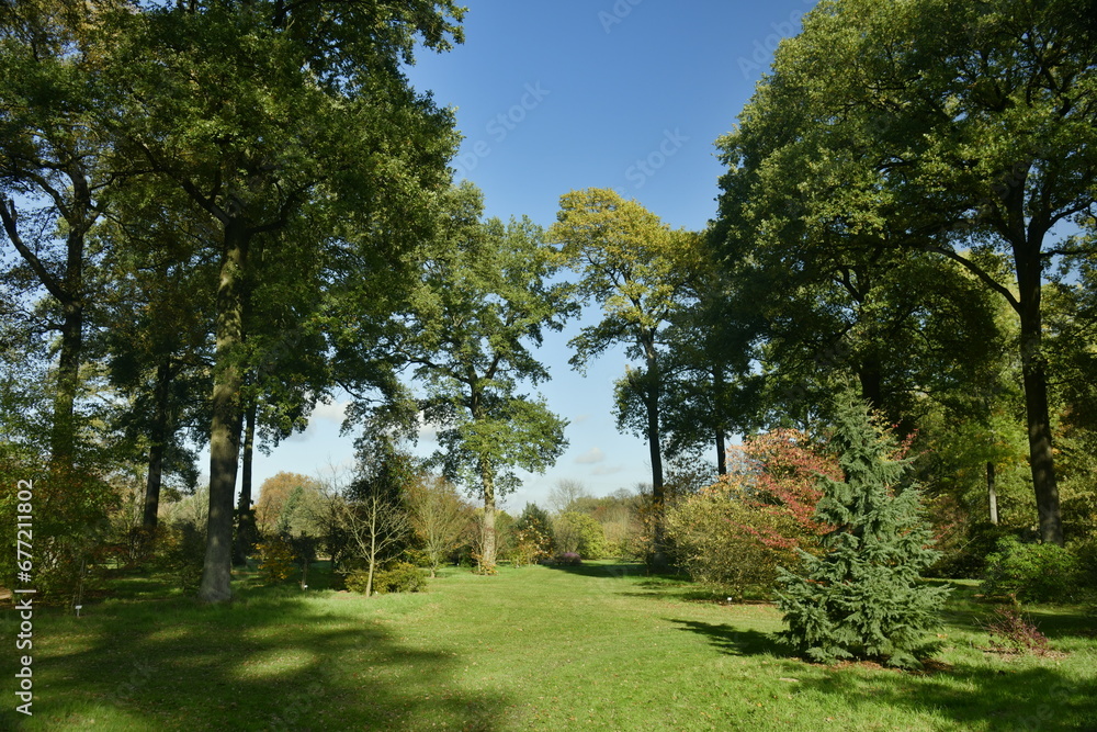 L'une des clairières gazonnées au milieu des arbres rares à l'arboretum de Wespelaar près de Louvain 