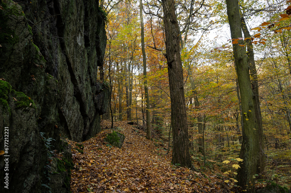 Fototapeta premium Herbstwald im steilen felsigen Schwarzatal bei Bad Blankenburg, Thüringen