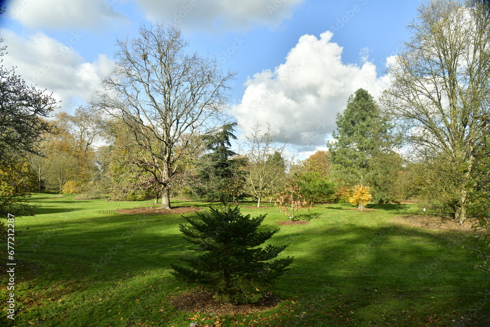 Les multiples variétés des arbres en automne à l'arboretum de Wespelaar à Haacht 