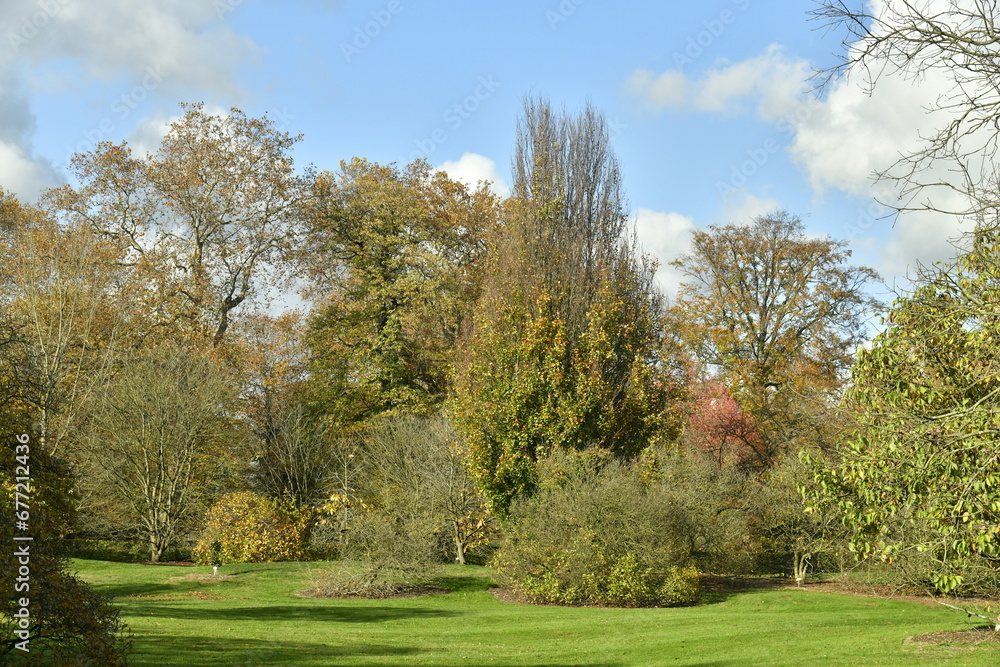 Les multiples variétés des arbres en automne à l'arboretum de Wespelaar à Haacht Les multiples variétés des arbres en automne à l'arboretum de Wespelaar à Haacht