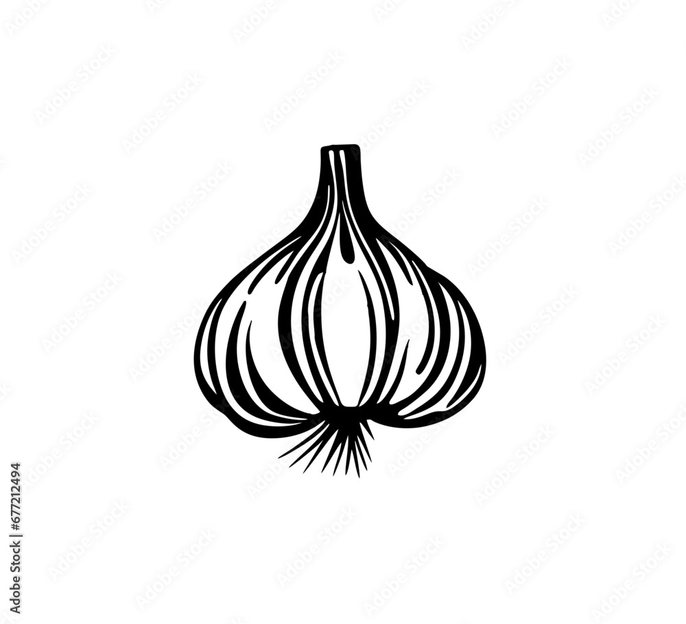 garlic hand drawn vector icon black and white
