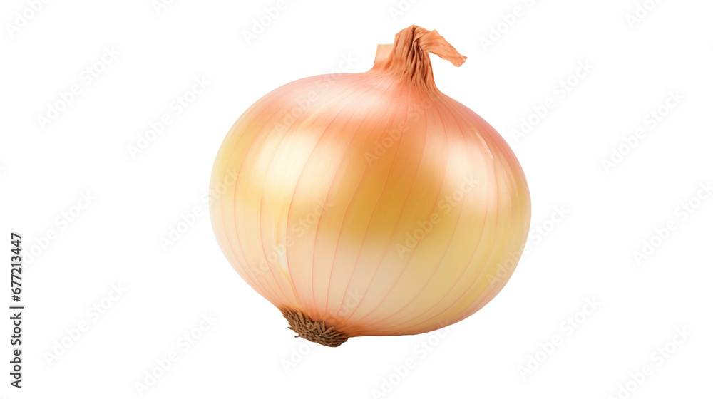 custom made wallpaper toronto digitalOnion isolated on transparent background, image with background removed, created with Generative Ai technology.