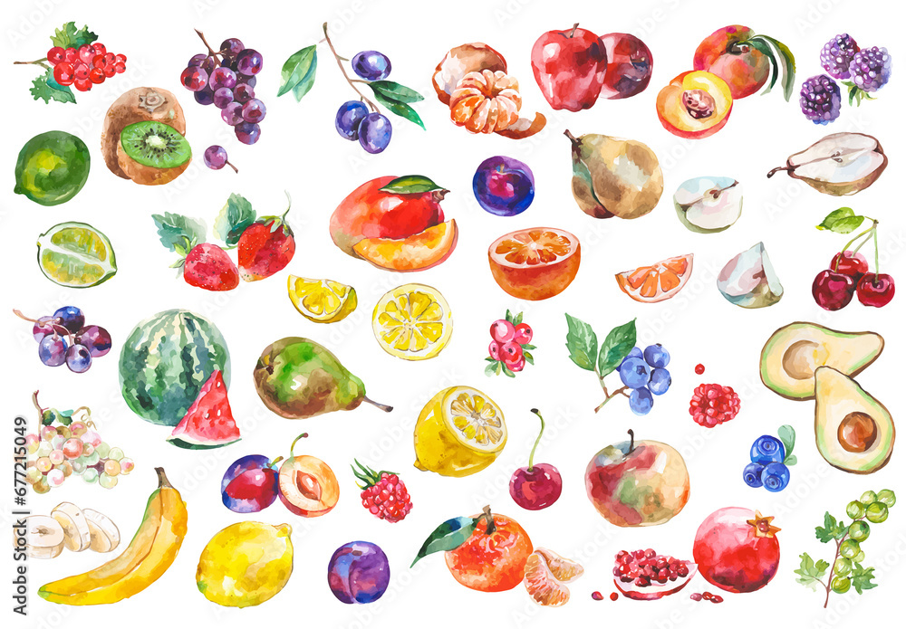 Watercolor painted collection of fruits. Hand drawn fresh food design ...