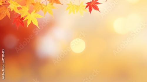 web banner design for autumn season and end year activity with red and yellow maple leaves with soft focus light an bokeh background  copy space  16 9