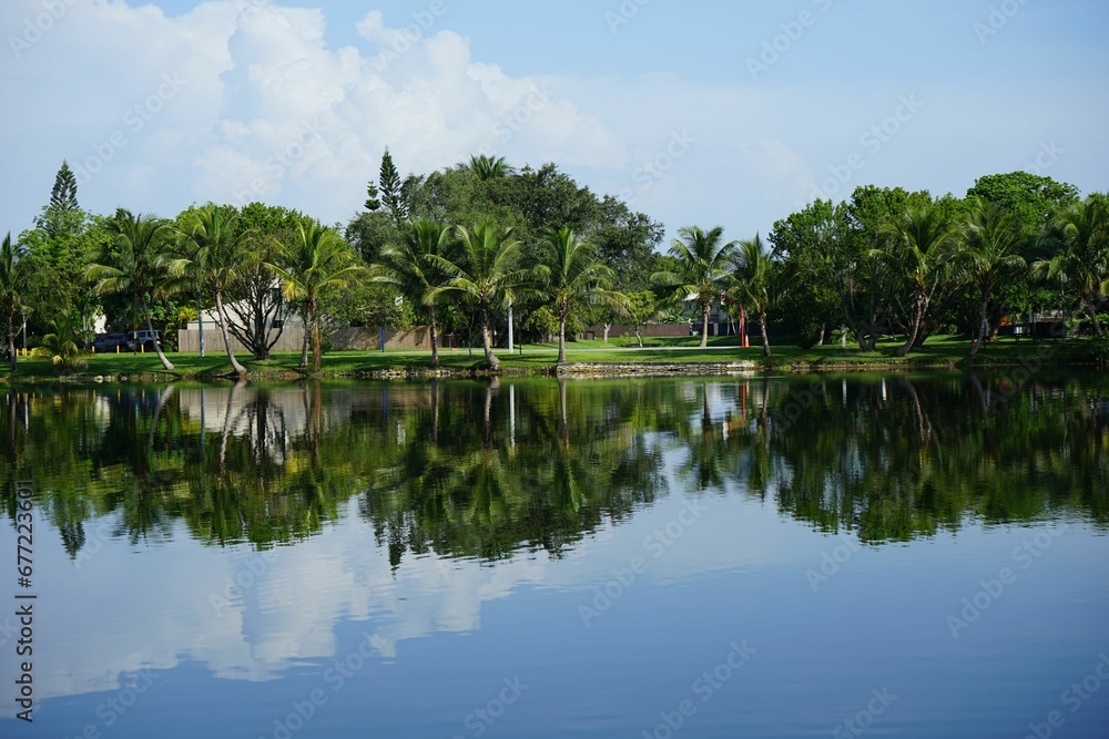 Beautiful shot of green palm trees and a blue cloudy sky reflected on the water